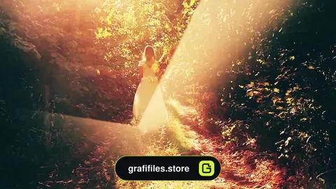 پروژه افترافکت کلیپ عروسی Shine