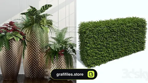 مدل سه بعدی گل و بوته