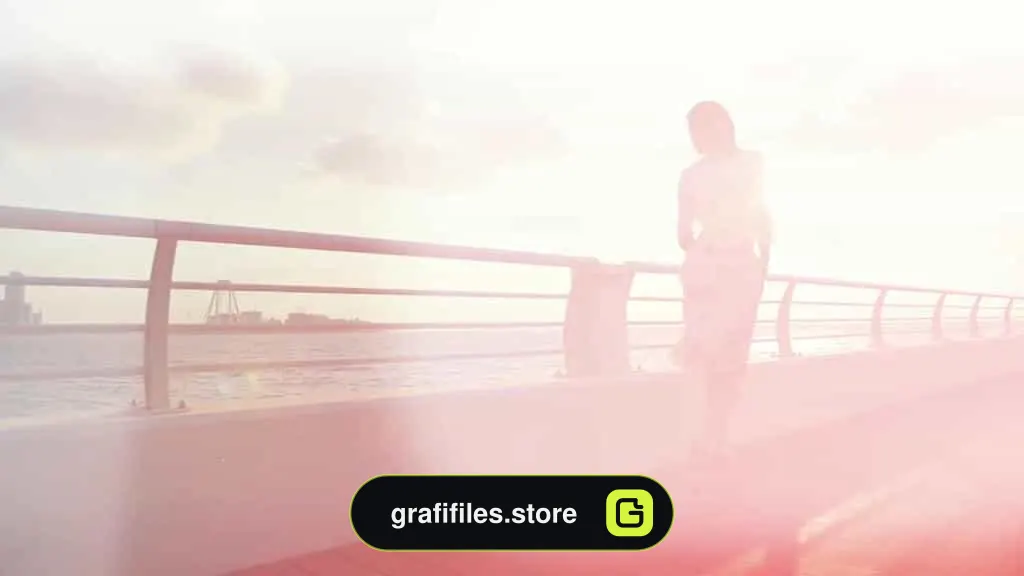 ترانزیشن آماده پریمیر Lights Transitions
