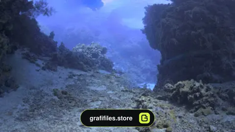 تصاویر HDRI دریا و زیر آب
