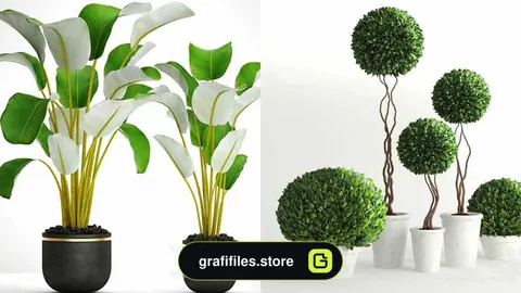 دانلود مدل سه بعدی گل و گیاهان زینتی