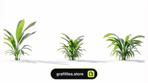 دانلود آبجکت گیاهان زینتی و گلخانه ایی