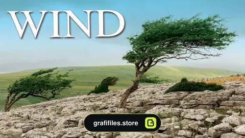 دانلود مجموعه افکت صدا باد