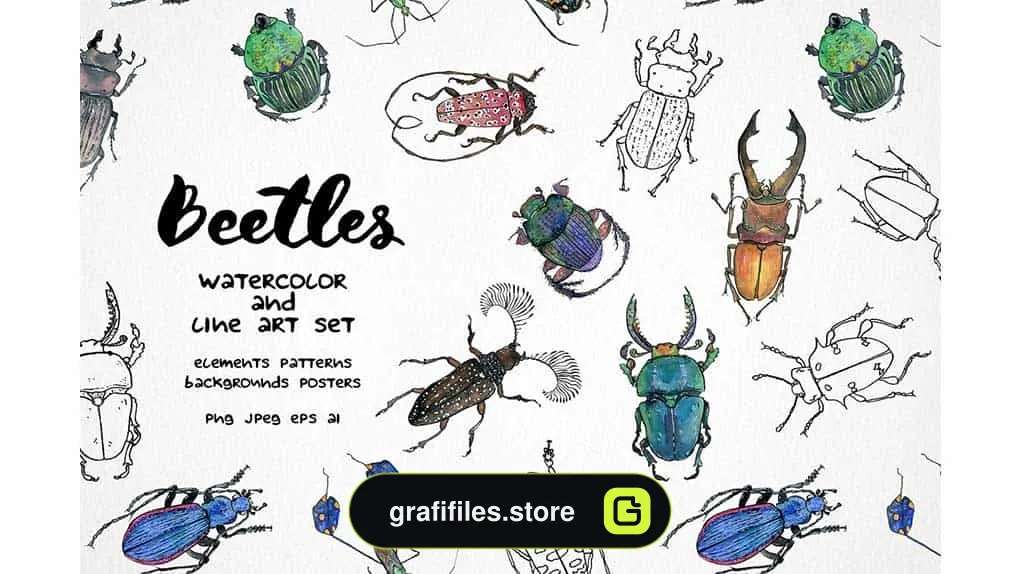 دانلود کلیپ آرت سوسک Beetles