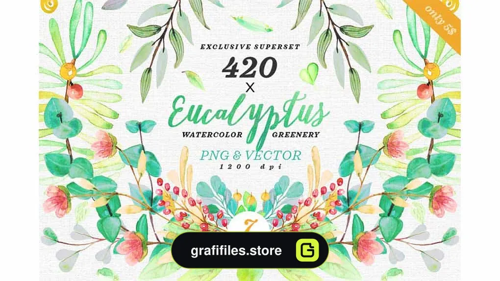 دانلود کلیپ آرت گل و گیاه آبرنگی Greenery Watercolor Eucalyptus 3