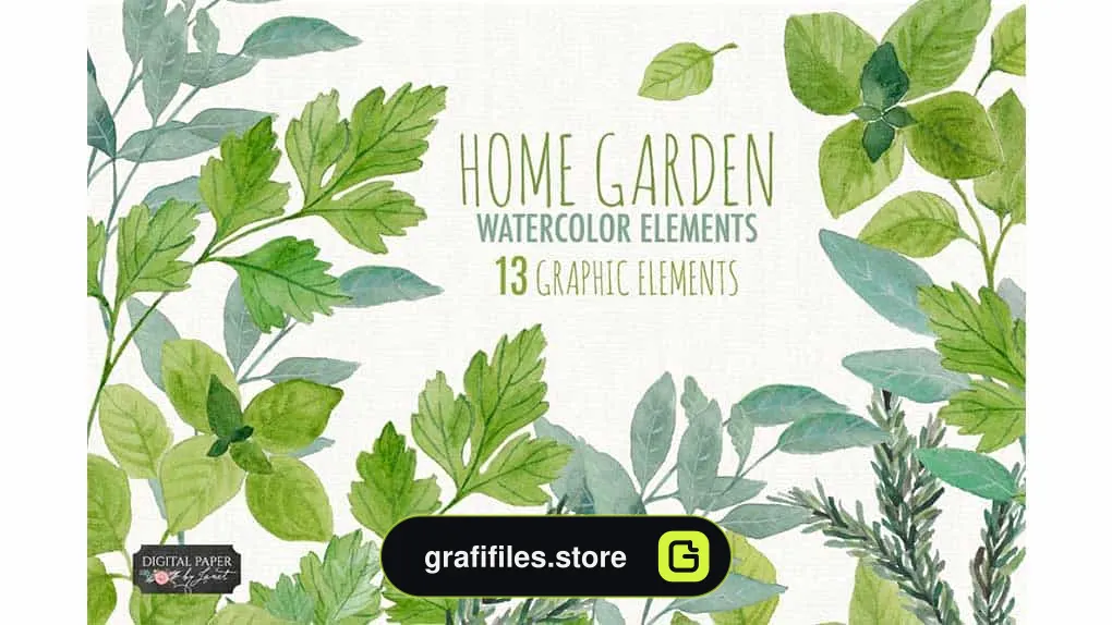 دانلود کلیپ آرت آبرنگی برگ سبز Home Garden