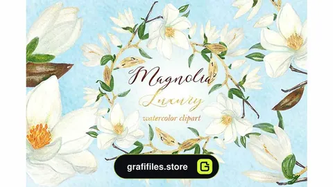 دانلود کلیپ آرت آبرنگی گل سفید Magnolia white luxury illustrations