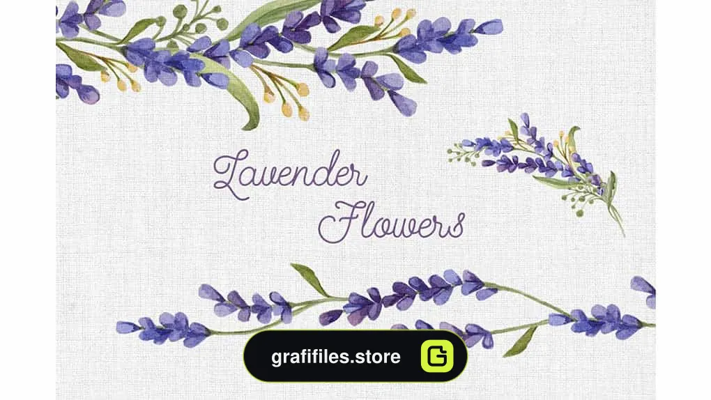 دانلود کلیپ آرت گل بنفشه Watercolor set with Lavender Flowers