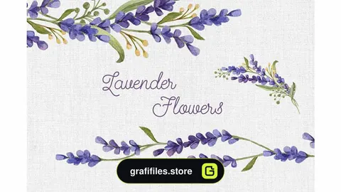 دانلود کلیپ آرت گل بنفشه Watercolor set with Lavender Flowers