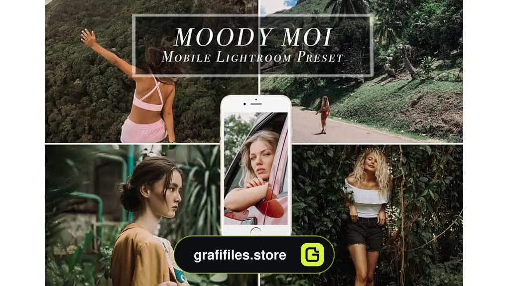 پریست لایت روم برای موبایل MOODY