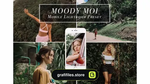 پریست لایت روم برای موبایل MOODY