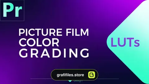 پریست رنگ پریمیر Picture Film