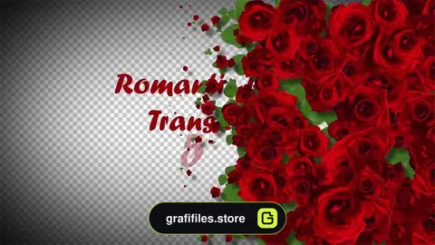ترانزیشن گل رز