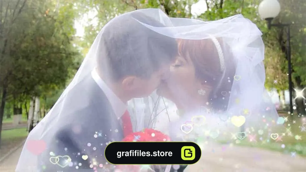 ترانزیشن عروسی Wedding Transitions