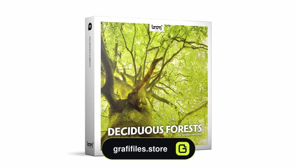 افکت صوتی جنگل های Deciduous
