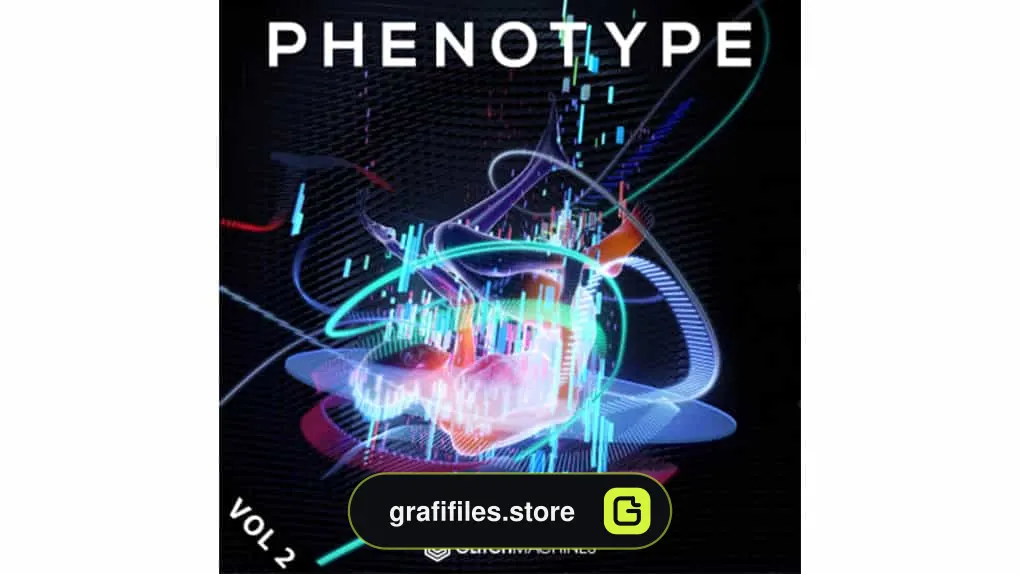 افکت صوتی فنوتیپ Phenotype