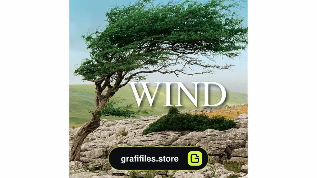 افکت صوتی باد Wind