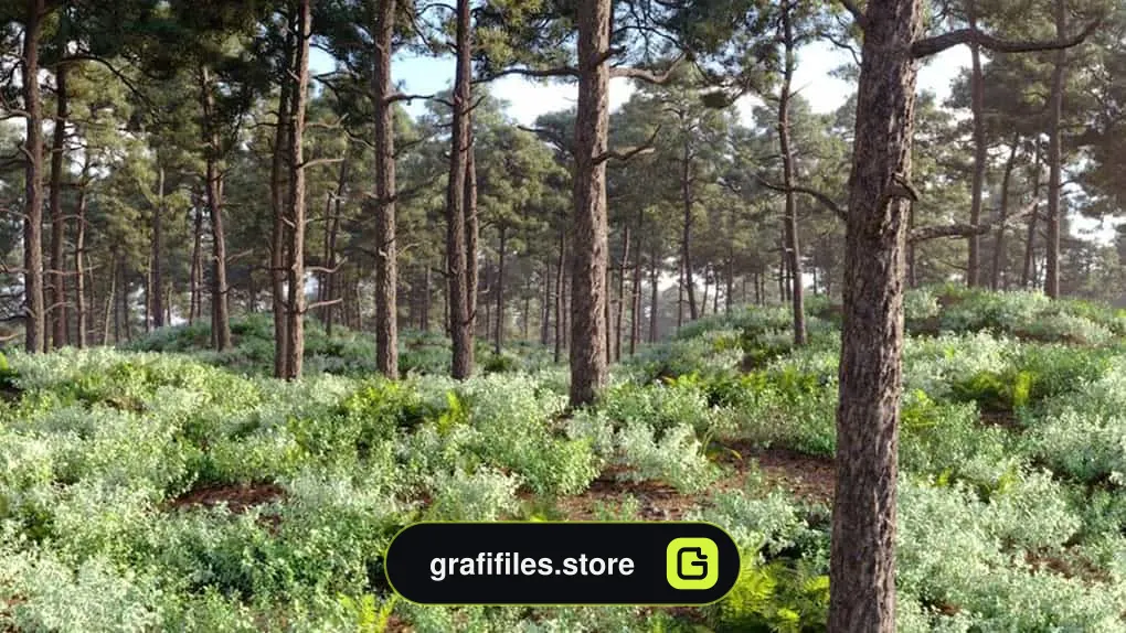 آبجکت برای Forest Pack