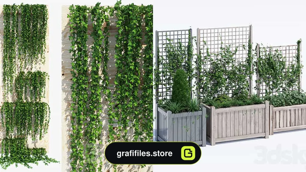 دانلود 70 مدل سه بعدی گل و گیاه زینتی