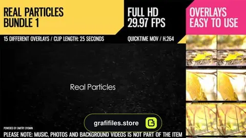 فوتیج ذرات معلق Real Particles Bundle 1- Soft Particles