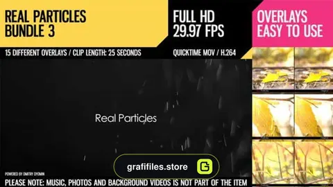 فوتیج ذرات معلق Real Particles Bundle 3 – Lazy Particles