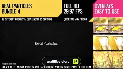 فوتیج ذرات معلق Real Particles Bundle 4 – Blistering Particles