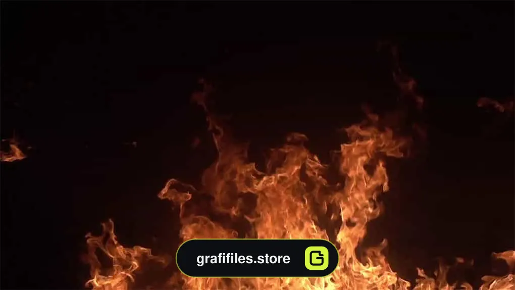فوتیج شعله آتش Flames Fill The Background