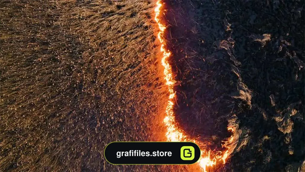 فوتیج آتش سوزی Wildfire