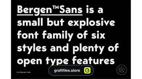 فونت انگلیسی Bergen Sans