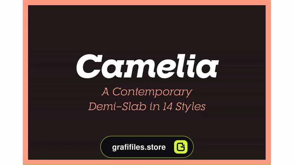 فونت انگلیسی RNS Camelia