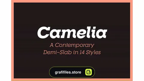 فونت انگلیسی RNS Camelia