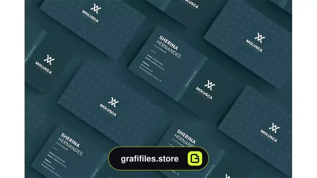 طرح وکتور کارت ویزیت Business Card 21