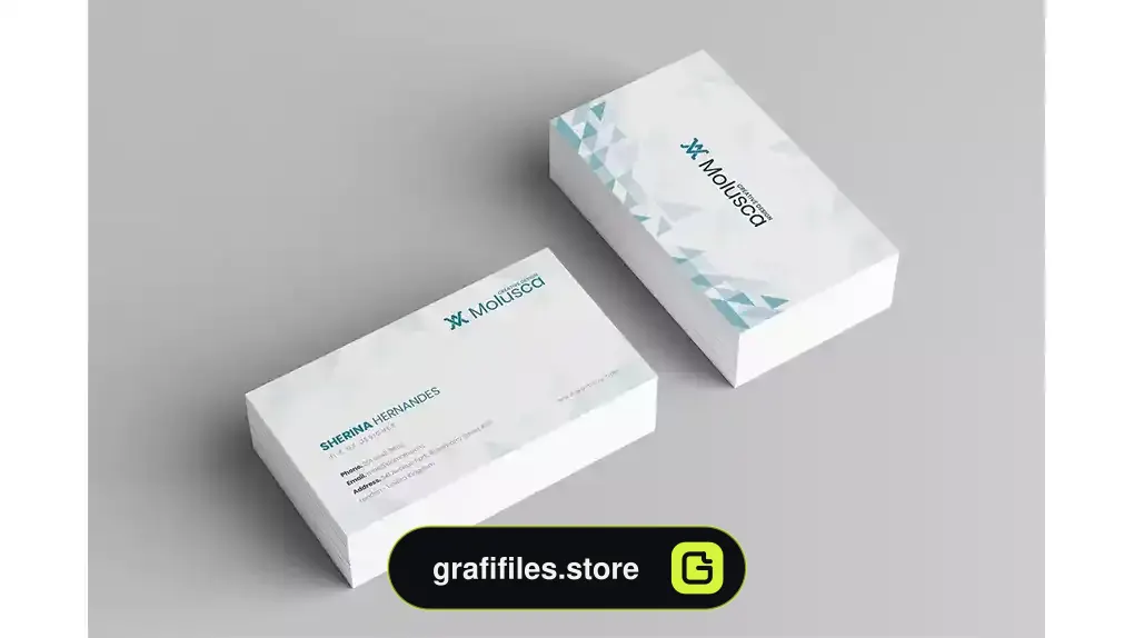 طرح وکتور کارت ویزیت Business Card 35