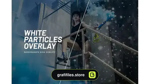 افکت ذرات سفید روی عکس و تصاویر White Particles Overlay