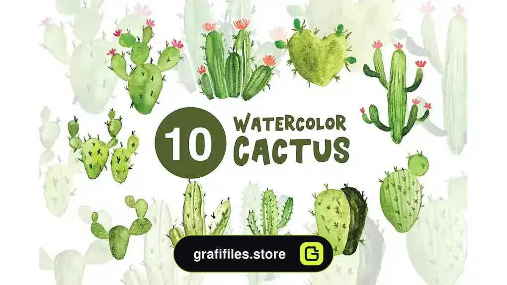 کلیپ آرت کاکتوس آبرنگی Watercolor Cactus Illustrations