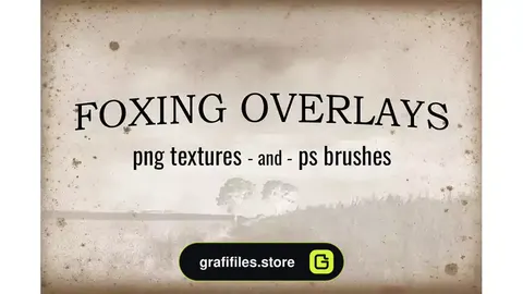 براش کاغذ قدیمی Foxing Textures and Brushes