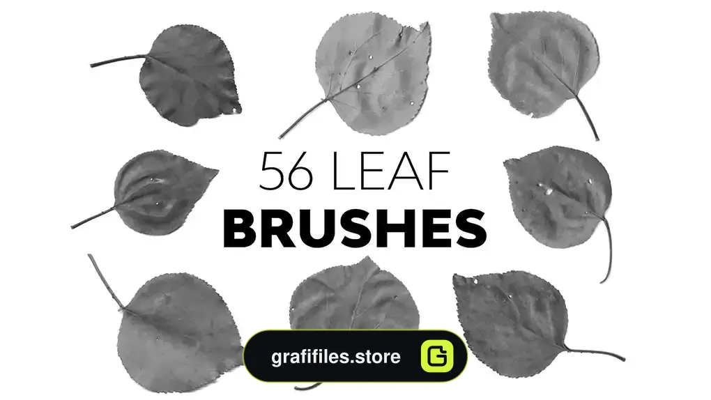براش برگ فتوشاپ Leaf Brushes