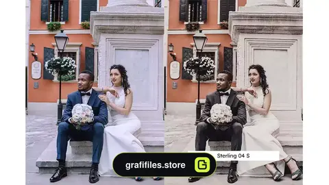 پریست رنگ Cocoa Lightroom Presets & LUTs