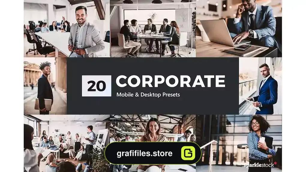 پریست رنگی شرکتی Corporate Lightroom Presets and LUTs