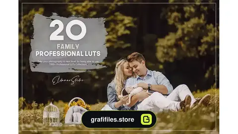 پریست اصلاح رنگ Family LUTs Pack