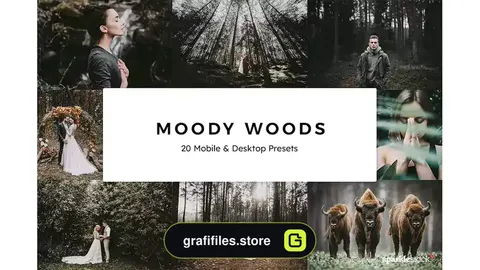 پریست رنگ Moody Woods Lightroom Presets & LUTs