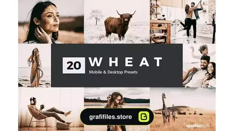 پریست رنگی Wheat Lightroom Presets and LUTs