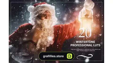 پریست اصلاح رنگ Wintertone LUTs Pack
