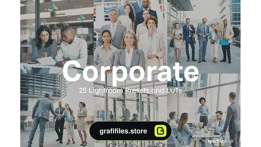 پریست رنگی شرکتی Corporate Lightroom Presets and LUTs