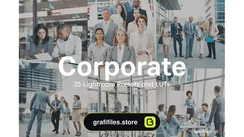 پریست رنگی شرکتی Corporate Lightroom Presets and LUTs