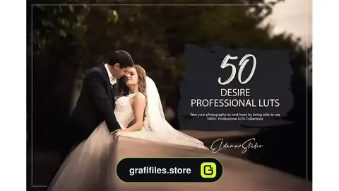 پریست رنگ Desire LUTs Pack