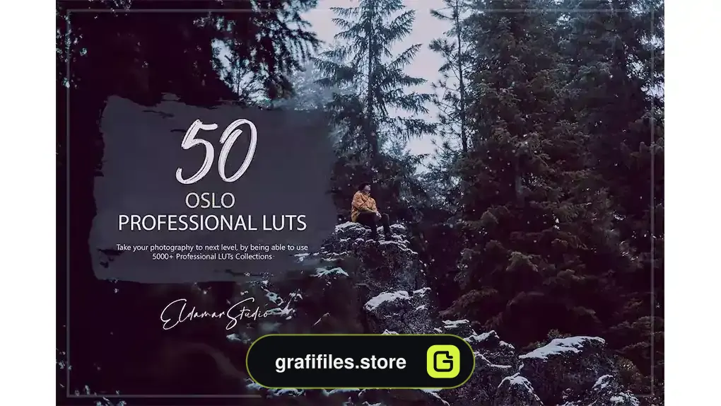 پریست رنگ اسلو Oslo LUTs Pack