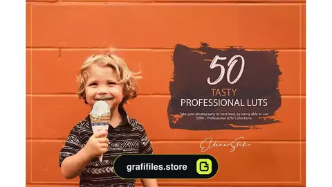 پریست رنگ Tasty LUTs and Presets Pack