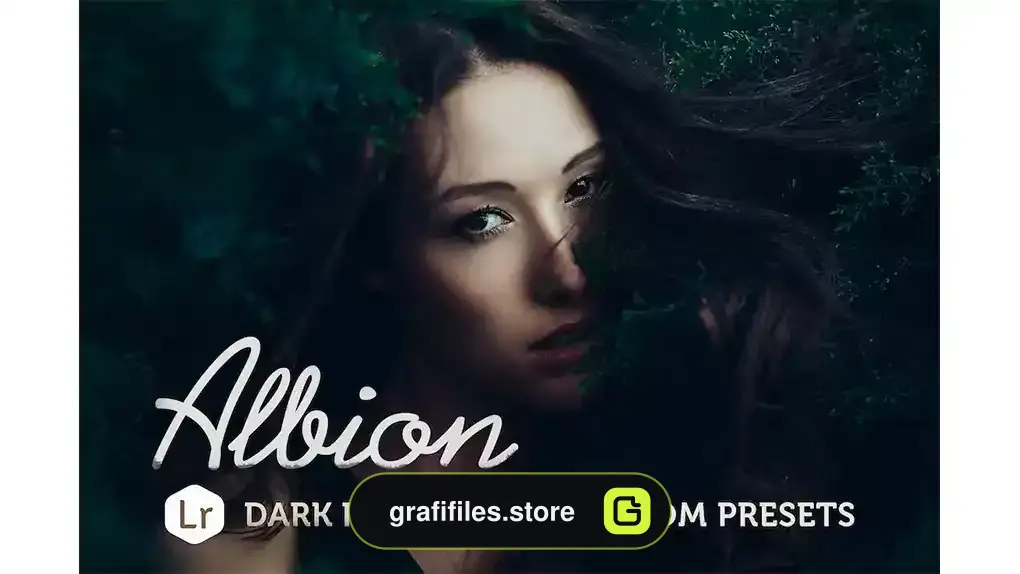 پریست لایت روم فانتزی تیره Albion Dark Fantasy Lightroom Presets