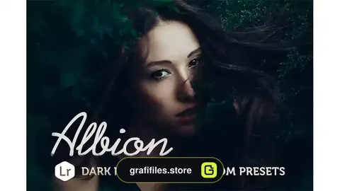 پریست لایت روم فانتزی تیره Albion Dark Fantasy Lightroom Presets
